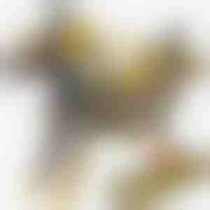 Magnetna igračka automobil-dinosaur | ROARWHEEL