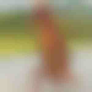 Kostim dinosaura na napuhavanje | TREXCOS